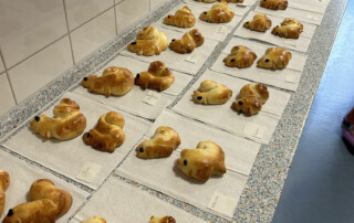 Mehrere frisch gebackene Hefegebäcke liegen auf Papiertüchern auf einer Küchenarbeitsfläche.