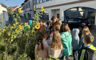 Kinder stehen im Gartenbereich zwischen vielen Sonnenblumen.