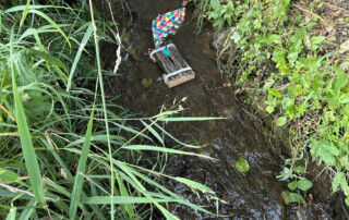Kleines Boot mit buntem Segel schwimmt im Bach neben Uferpflanzen.
