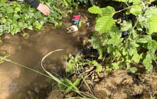 Ein selbstgebasteltes Boot mit Mast schwimmt im Bach zwischen Pflanzen.