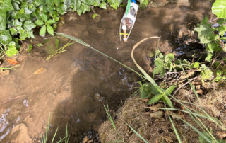 Selbstgebautes Papier- oder Holzboot treibt im Bach neben Uferpflanzen.