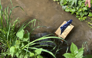 Kleines gebasteltes Boot schwimmt in einem Bach zwischen Pflanzen.