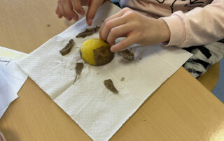 Kind schält eine Kartoffel über einem Papiertuch.