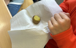 Kind hält eine Kartoffel in der Hand und schält sie über einem Papiertuch.