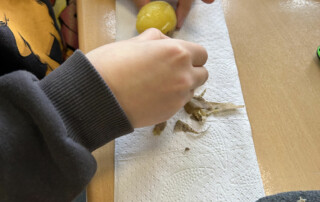 Kind entfernt die Schale einer Kartoffel über einem Papiertuch.