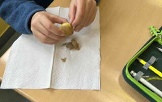 Kind schält eine kleine Kartoffel über einem Papiertuch.