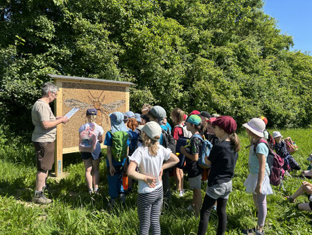 Gruppe von Kindern steht auf einer Wiese und betrachtet eine große Holztafel mit einer gezeichneten Biene.