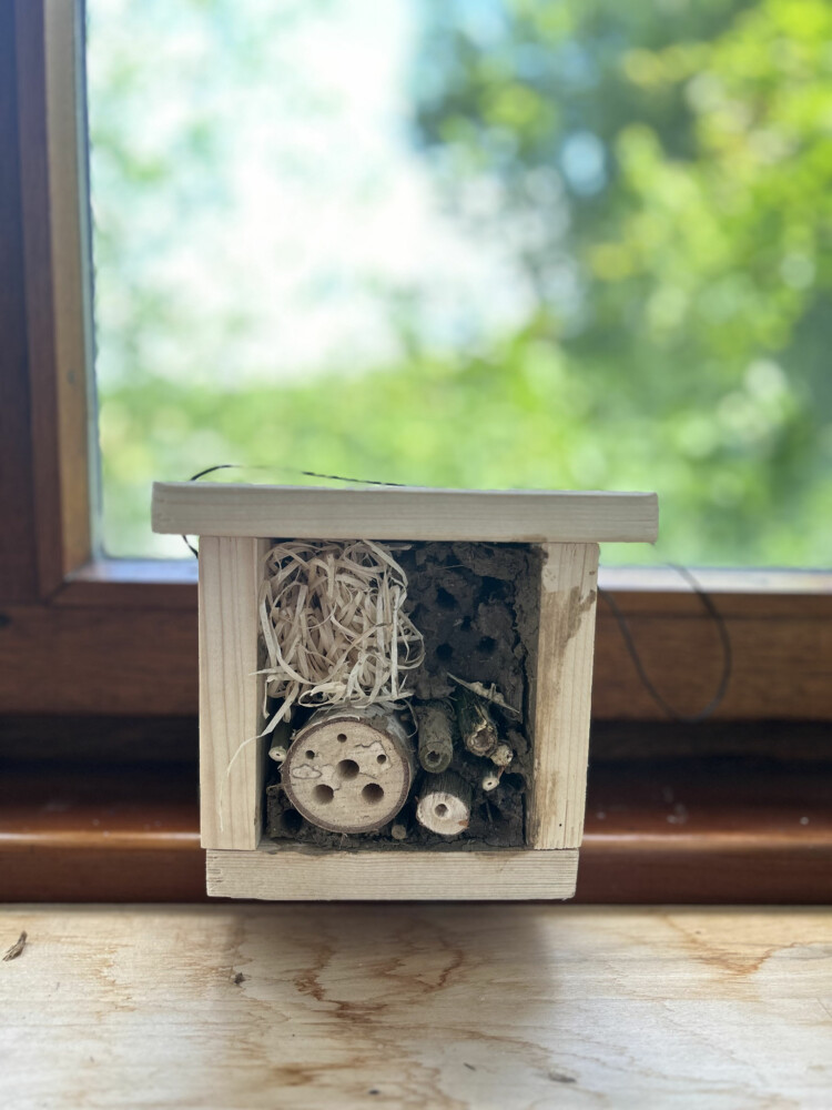 Projekt Insektenhotel Kleines selbstgebautes Insektenhotel aus Holz steht auf einer Fensterbank.