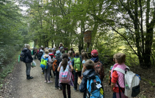 Gruppe von Kindern wandert auf einem Waldweg.