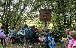 Kinder stehen an einem Waldweg vor einem Holzschild mit Informationen.