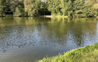 Gruppe von Kindern sitzt auf einer Wiese und macht eine Pause.