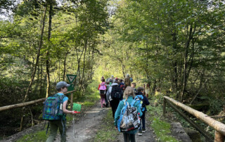 Kinder wandern durch einen Waldweg zwischen hohen Bäumen.