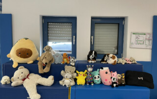 Reihe verschiedener Kuscheltiere steht auf einer blauen Fensterbank vor zwei Fenstern.