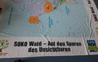 Lernplane mit farbigem Waldmotiv und dem Aufdruck „SOKO Wald – Auf den Spuren des Unsichtbaren“.